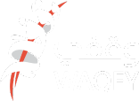 waqfi-logo